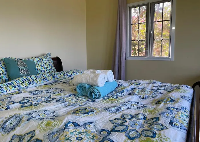 Apartment Free Airport Pickup 5 Minutes From Airport And Montego Bay