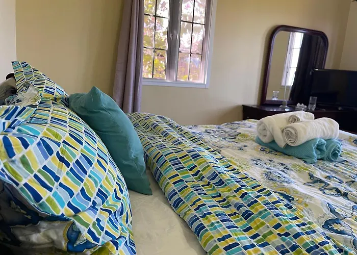 Apartment Free Airport Pickup 5 Minutes From Airport And *