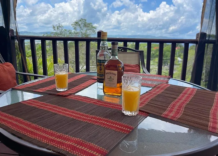 Apartment Free Airport Pickup 5 Minutes From Airport And Montego Bay